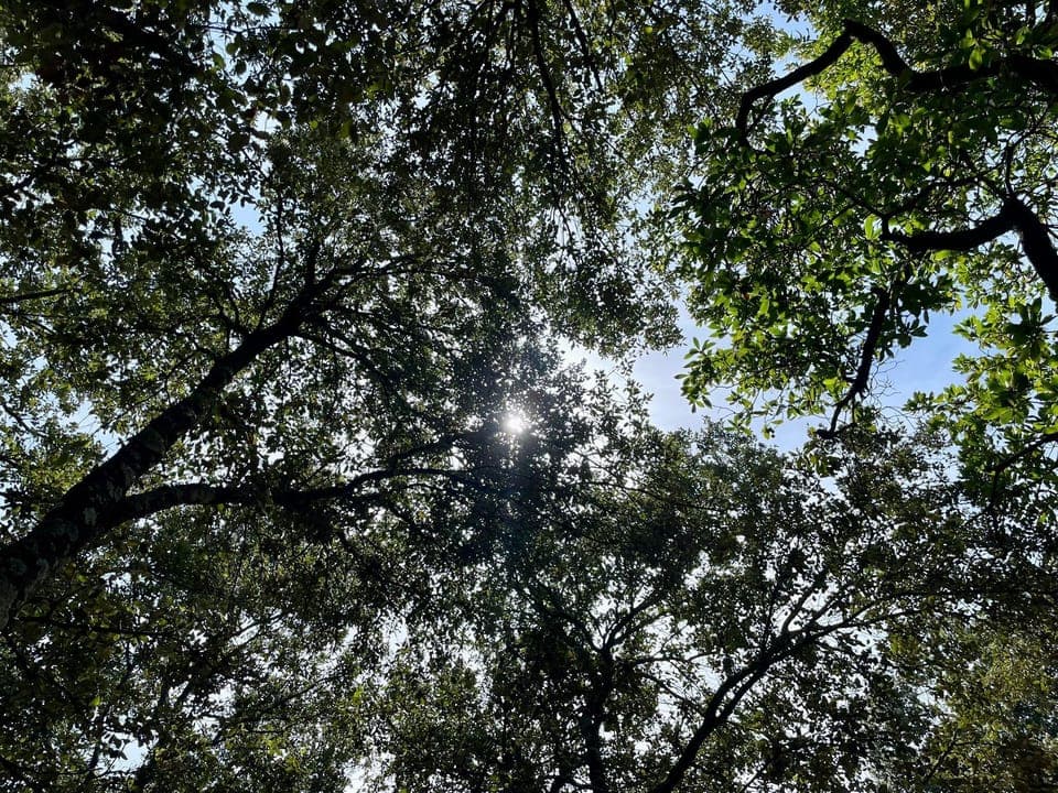 fbb71fad-ab39-4163-a45d-0b8d2b62afe8