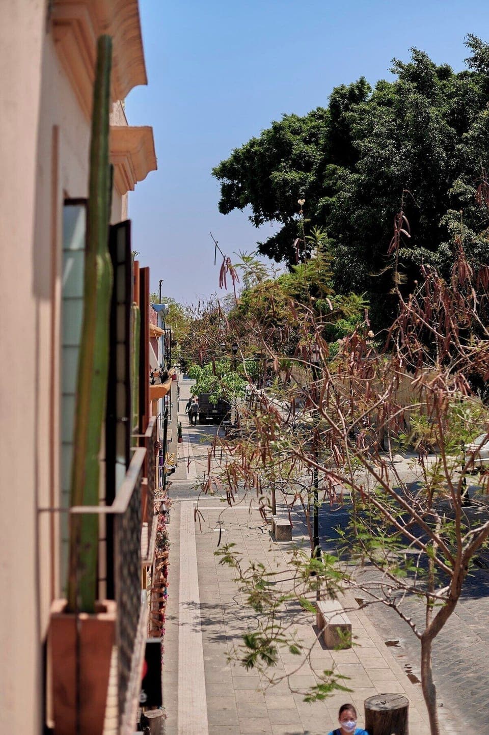 Balcón de la habitación