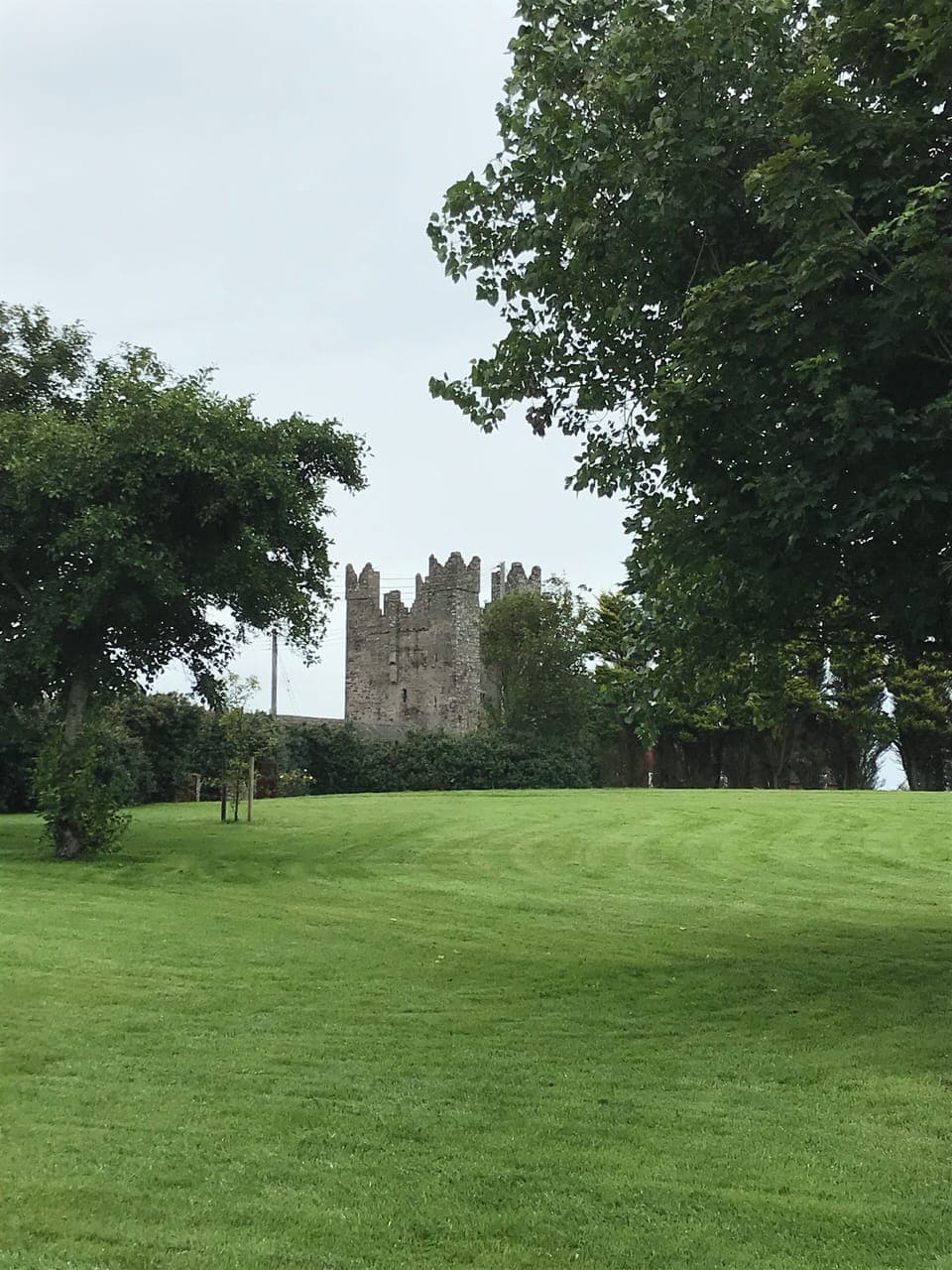 Kilclief Castle, as seen from garden