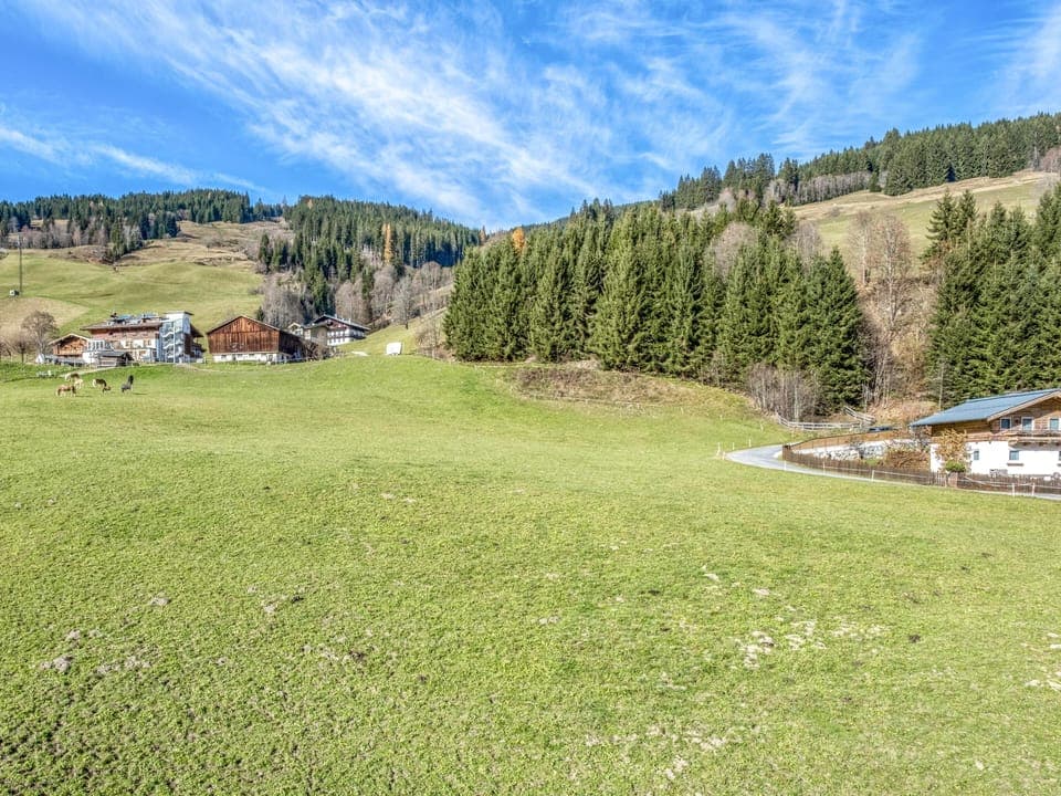 Immediate Surroundings [summer] (<1 km)