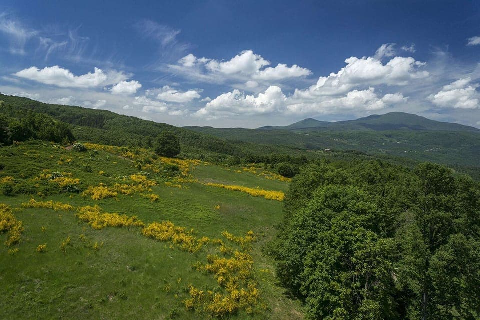 View from Holiday Home [summer]