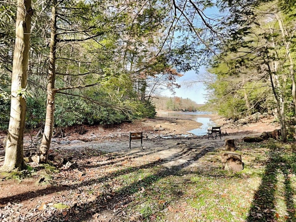 Serene Stream View