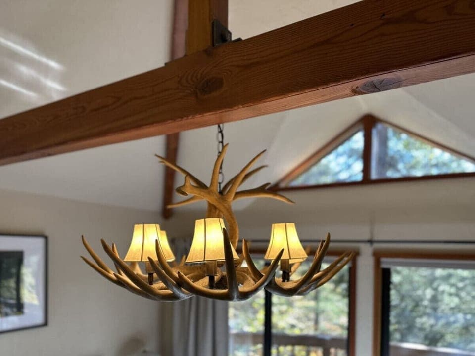 Lovely antler chandelier