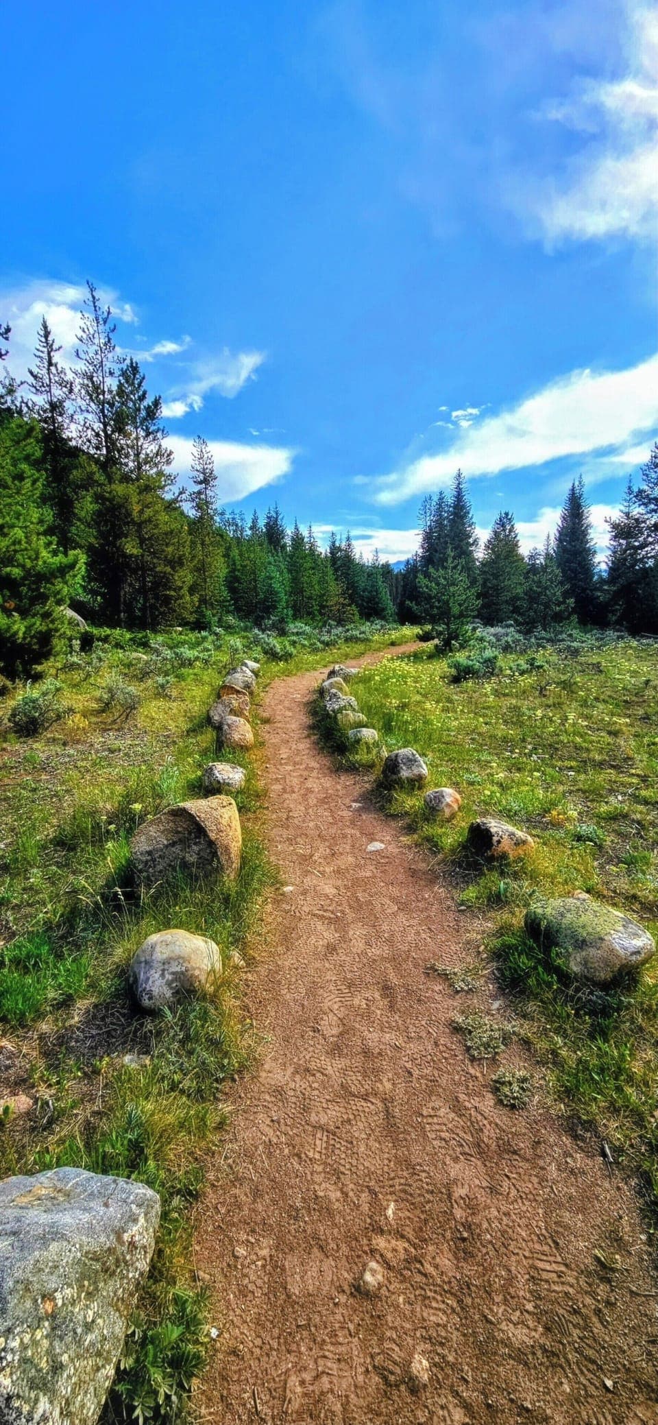 Beautiful walking trails steps from your unit
