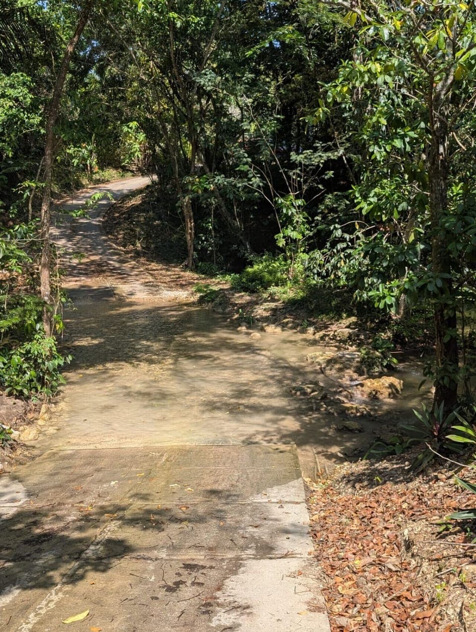 The Twins Private road creek