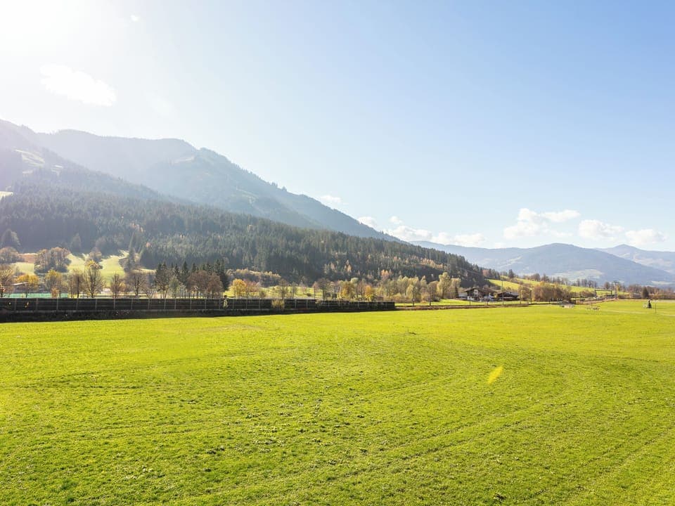 Immediate Surroundings [summer] (<1 km)