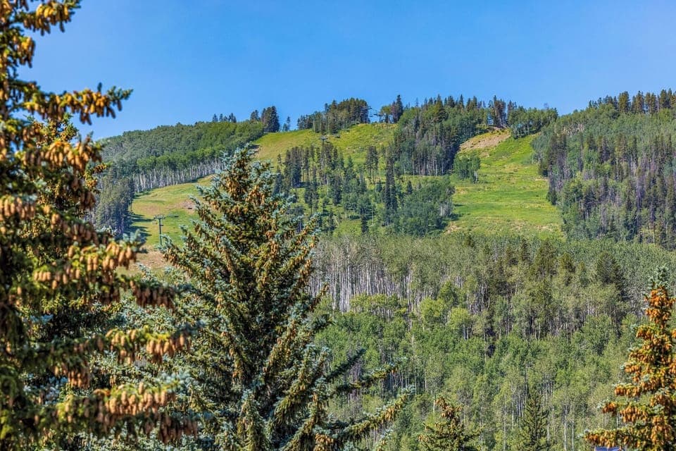 View from Living room