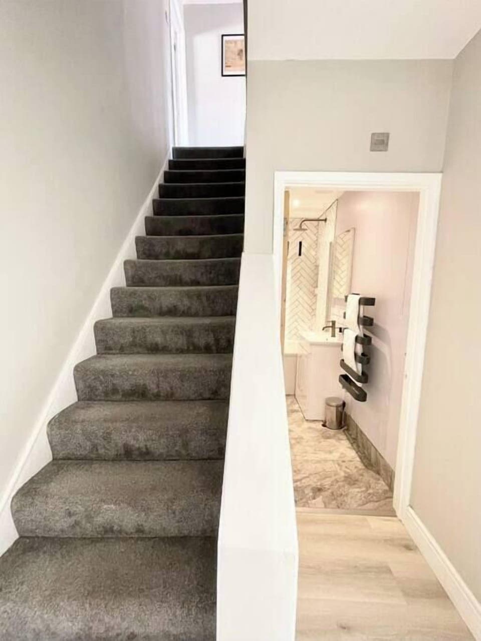 Full downstairs bathroom (3)