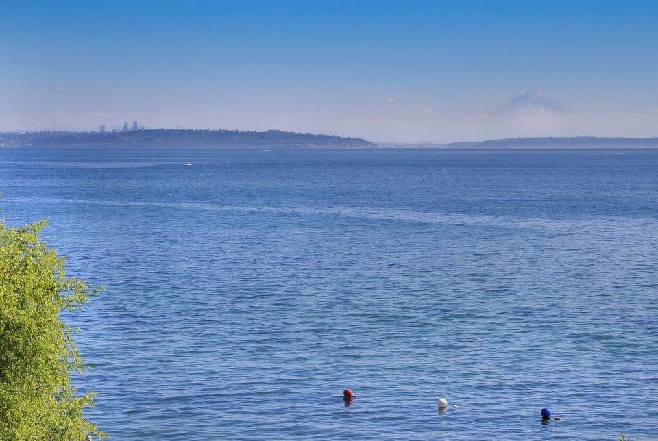 View of Mt. Ranier & Seattle
