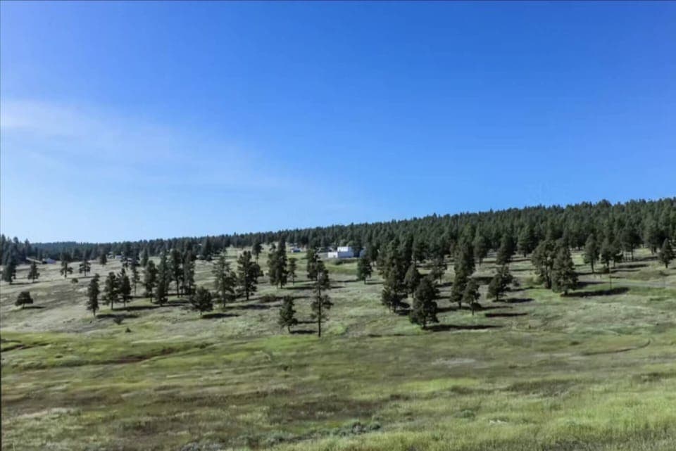 Rolling greens and wildlife galore!