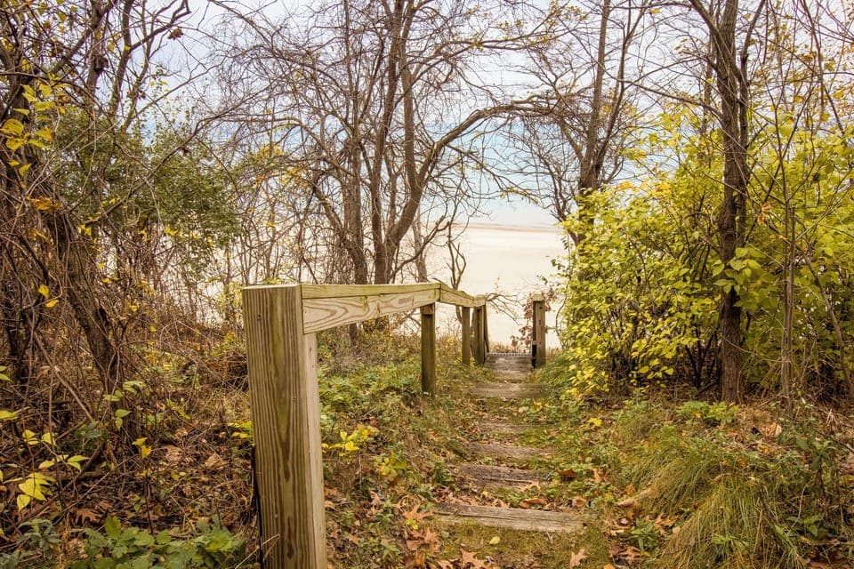 Path to the beach