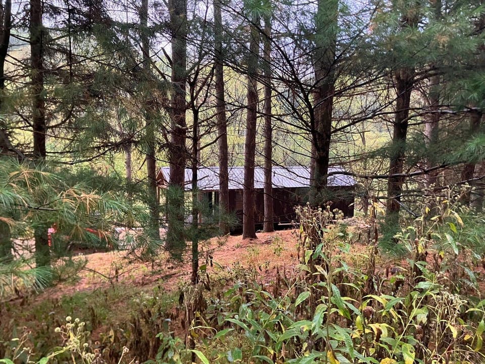 Pine Grove Cabin