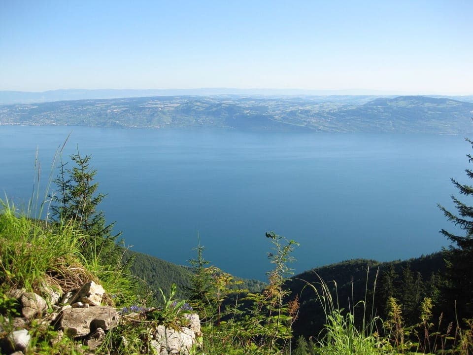 The view onto Lake Geneva from one of the many hiking trails near the house.