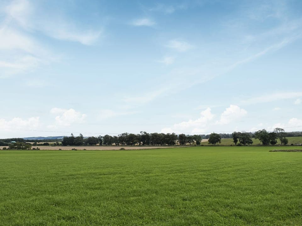 Surrounding area | Uuu Pod - Newton Of Inshewan Farm Pods, Forfar