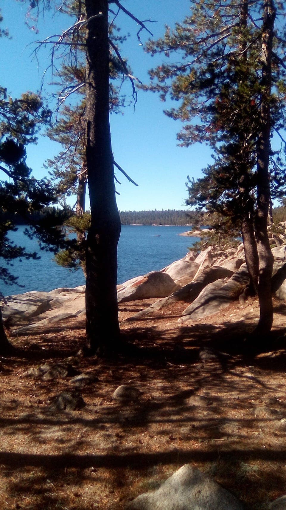 Alpine lake just a few miles up the Road from Bear Valley