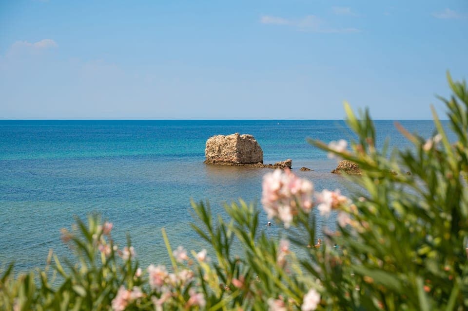 Beach in the vicinity of the property
