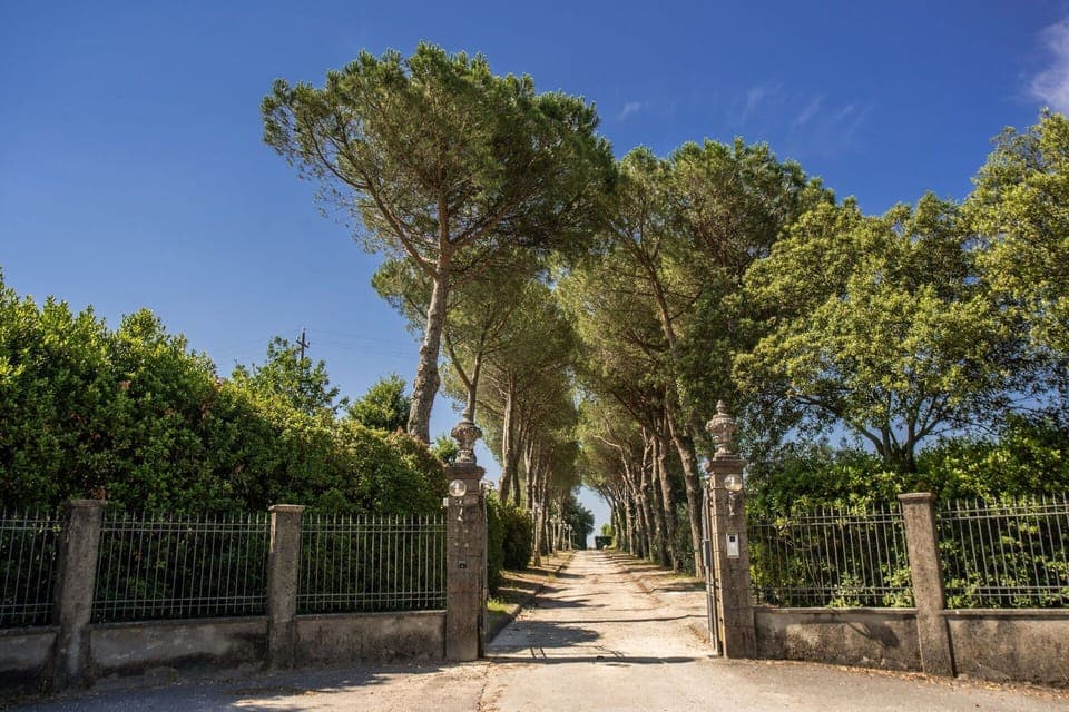 Activities, Amenities, Balcony / Terrace / Patio, Building Exterior, Facilities, Garden, Outdoor, Pool, Spring, Summer