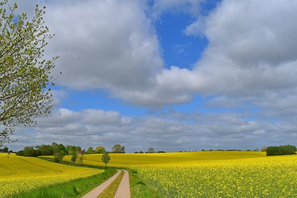 Immediate Surroundings [summer] (<1 km)