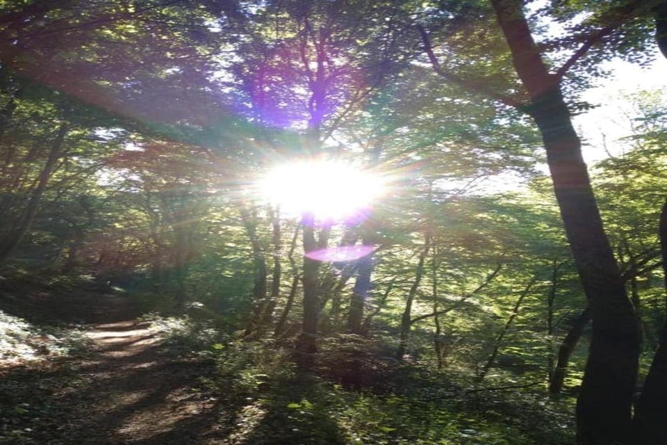 Region [summer] (>5 km)