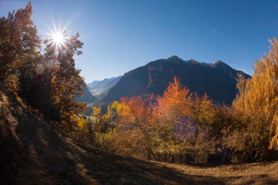 Region [summer] (>5 km)