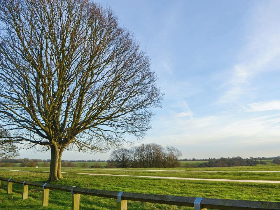 Surrounding area | Willow Cottage, Beverley