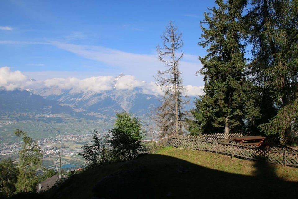 View from Holiday Home [summer]