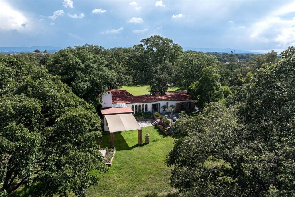 The stunning villa surrounded by lush nature