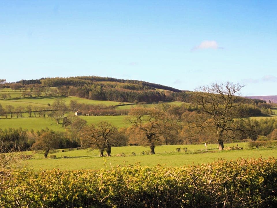 Surrounding area | Rowan Cottage, Healey, near Masham