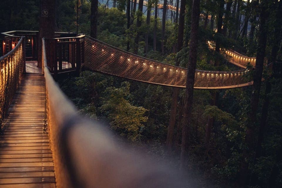 Located in the heart of the Smoky Mountains, Anakeesta is a mountain top adventure park that sits high atop Gatlinburg with spectacular views of town and National Park.
