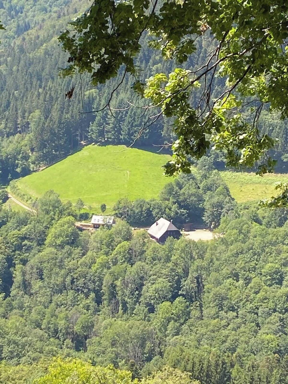 Die Lage inmitten unberührter Natur bietet eine einzigartige Ruhe und Abgeschiedenheit. Umgeben von dichten Wäldern und malerischen Hügeln können Sie die pure Schönheit des Schwarzwaldes genießen – der perfekte Ort für Entspannung und Erholung.