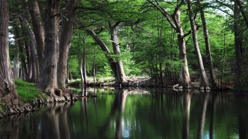 springs in Kerrville