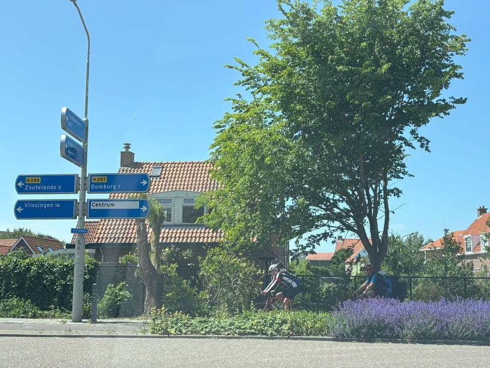 Road Surface, Public Space, Shrub, Asphalt, Pole, Urban Design, Thoroughfare, Spring, Sidewalk