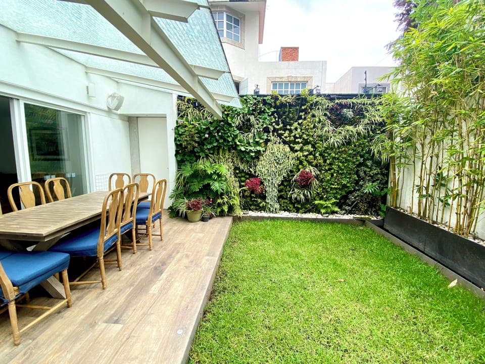 Garden outside with green wall, table for 10 people 