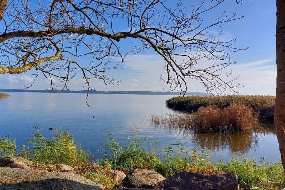 Immediate Surroundings [summer] (<1 km)