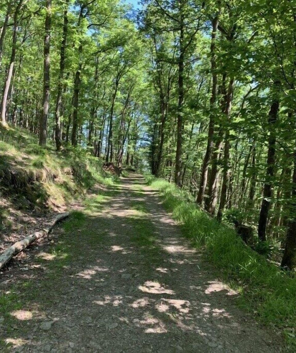 Surroundings [summer] (1-5 km)