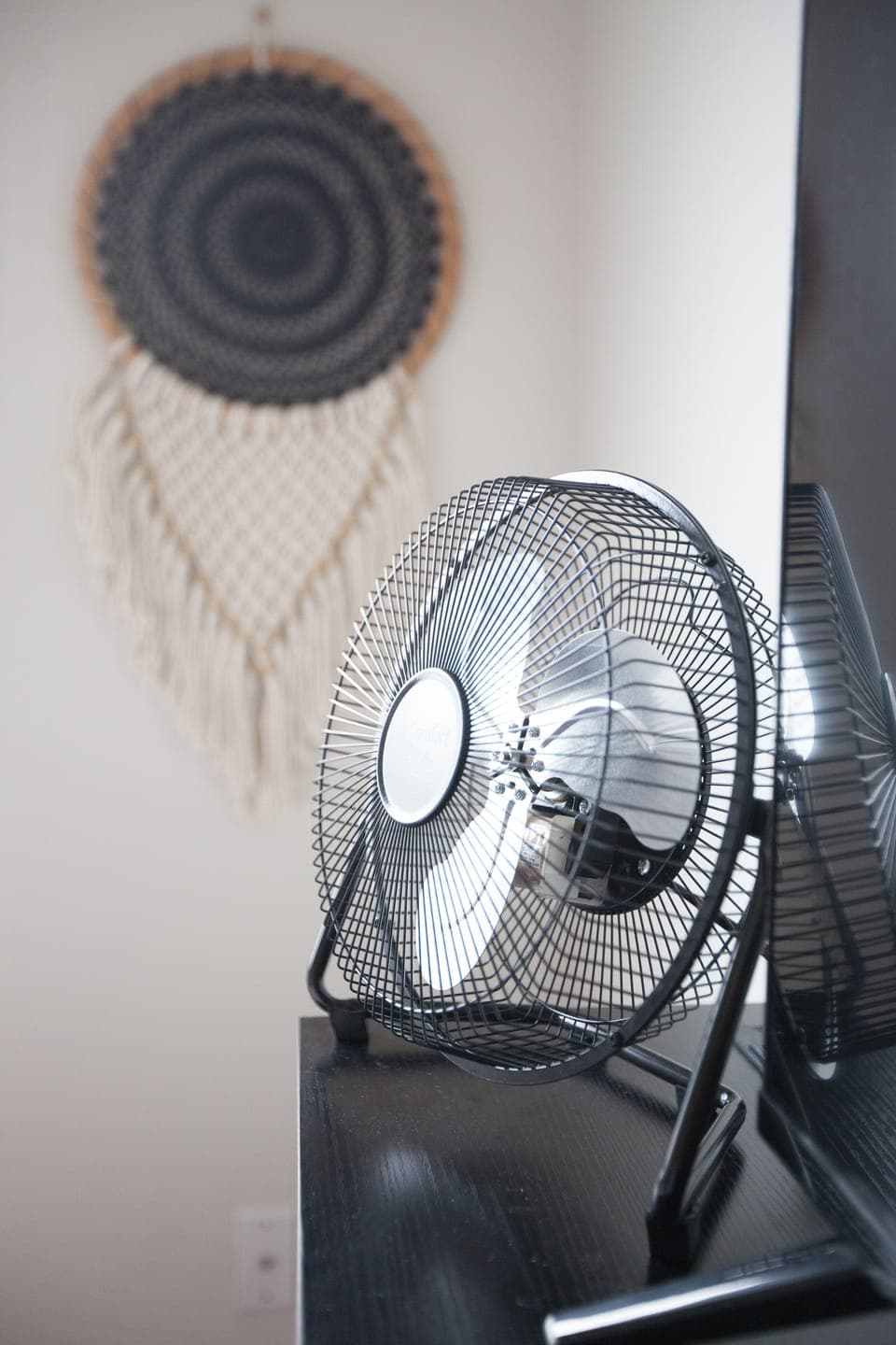 Every room has a fan! 