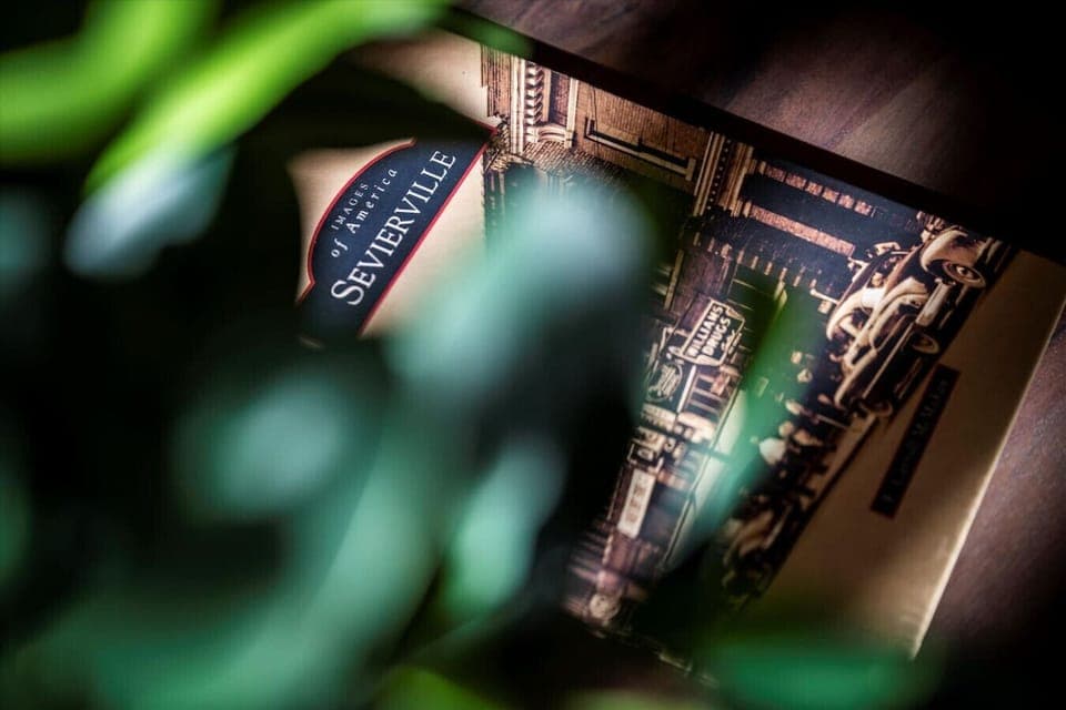 Tucked beneath the lush leaves is a little nod to local history—immerse yourself in the rich story of Sevierville as you relax at the cabin.