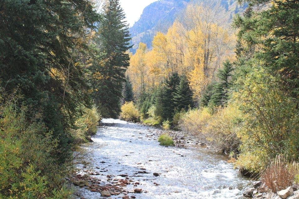 River Next to home - This is a view of the main artery of the Snake River which is 30 feet from this home. This particular photo is about 100 feet way.
