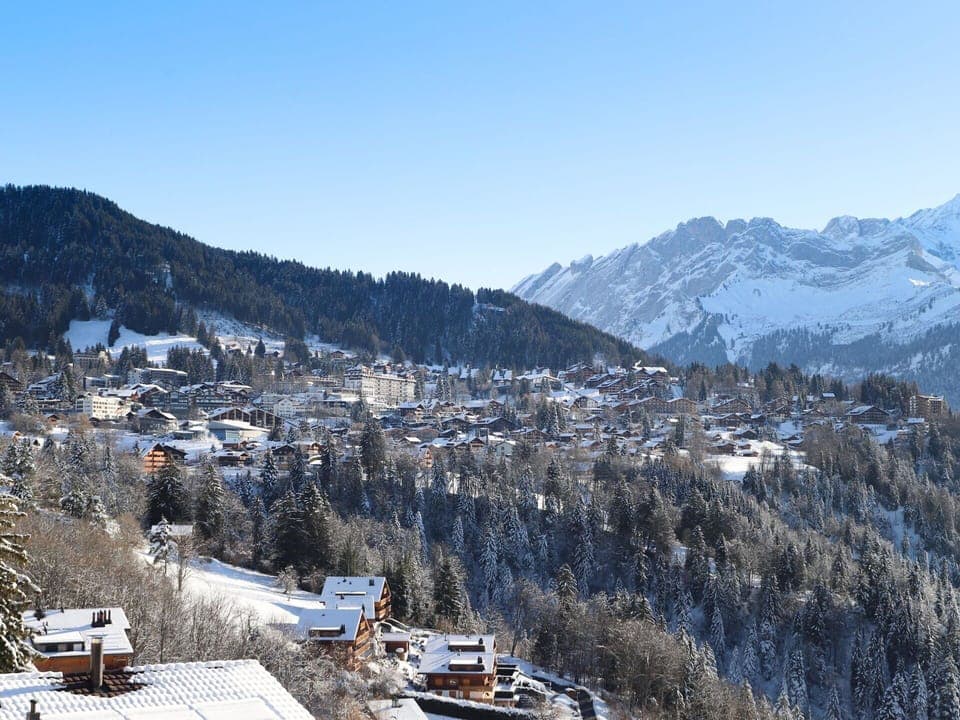 Snow, Mountain, Mountainous Landforms, Winter, Tree, Mountain Range, Hill, Highland, Glacial Landform, Hill Station