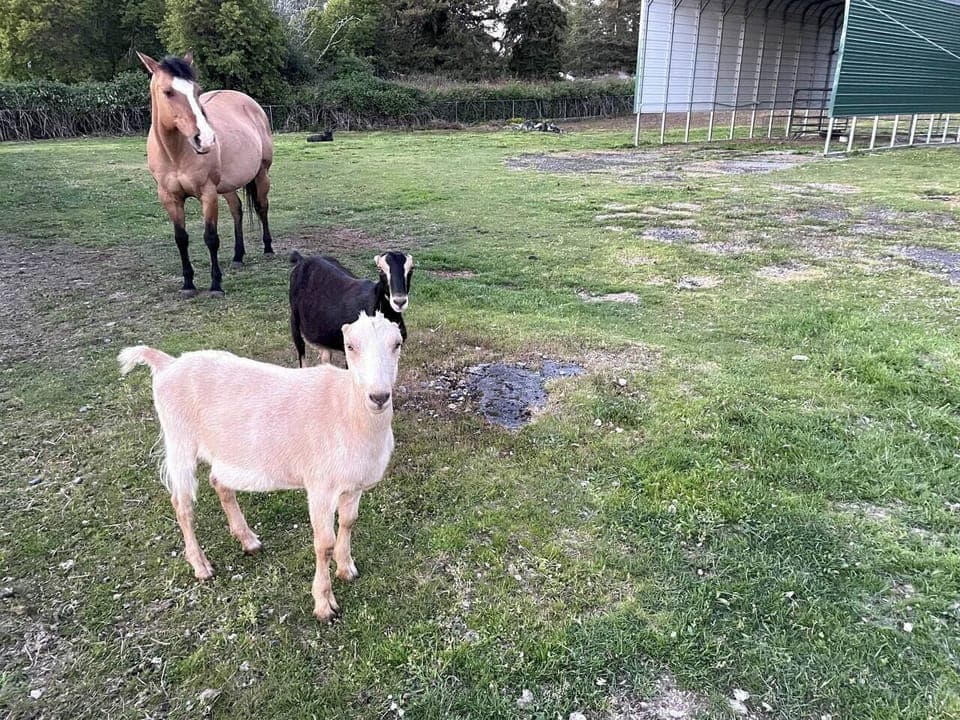 Bd8ea58e 79c1 45a2 b243 957a0eee8d86