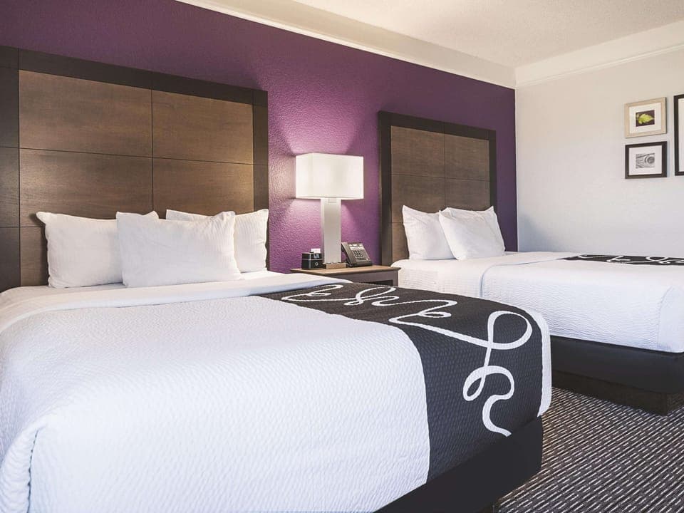 Sink into plush beds beneath a bold, calming accent wall.