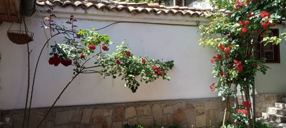 House entrance leading to the ourtyard