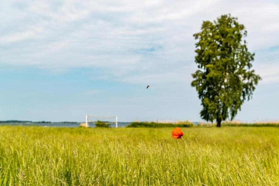 Surroundings [summer] (1-5 km)