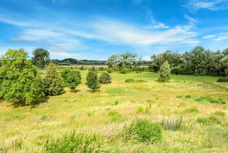 Surroundings [summer] (1-5 km)