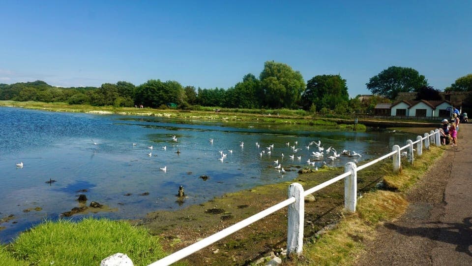 Through Golden Hill fort country park, Red Lion for lunch, and on to Yarmouth.