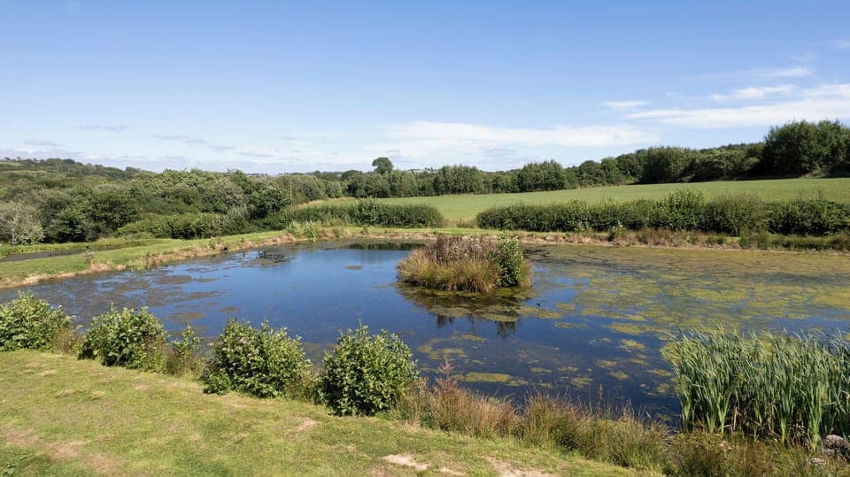 Countryside, Waterside Views