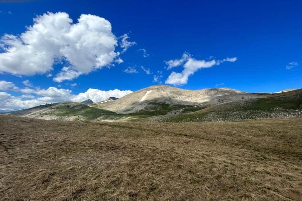 Region [summer] (>5 km)