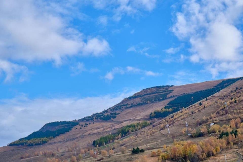 Region [summer] (>5 km)