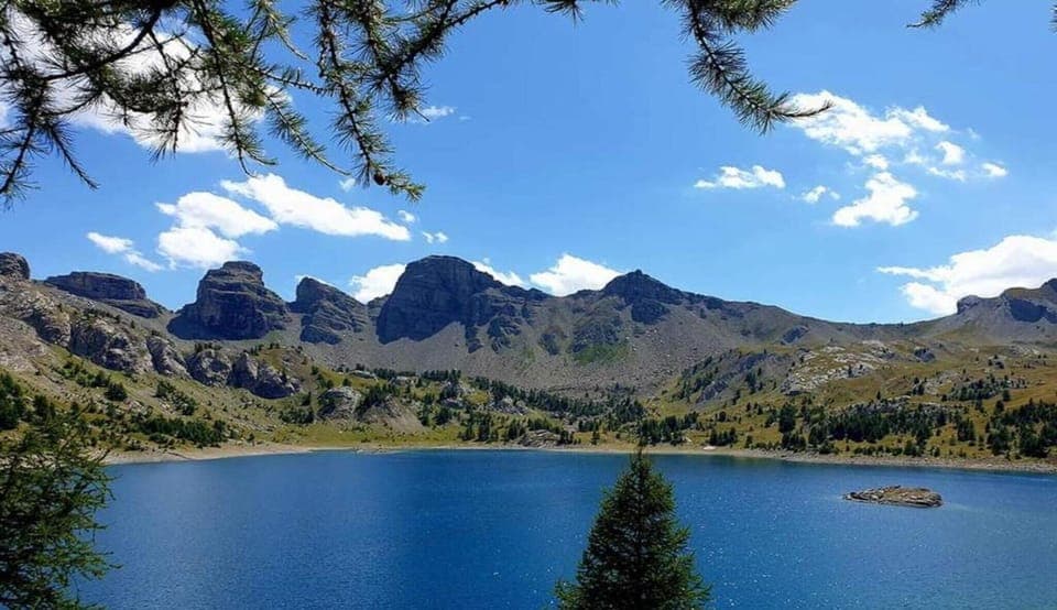 Region [summer] (>5 km)