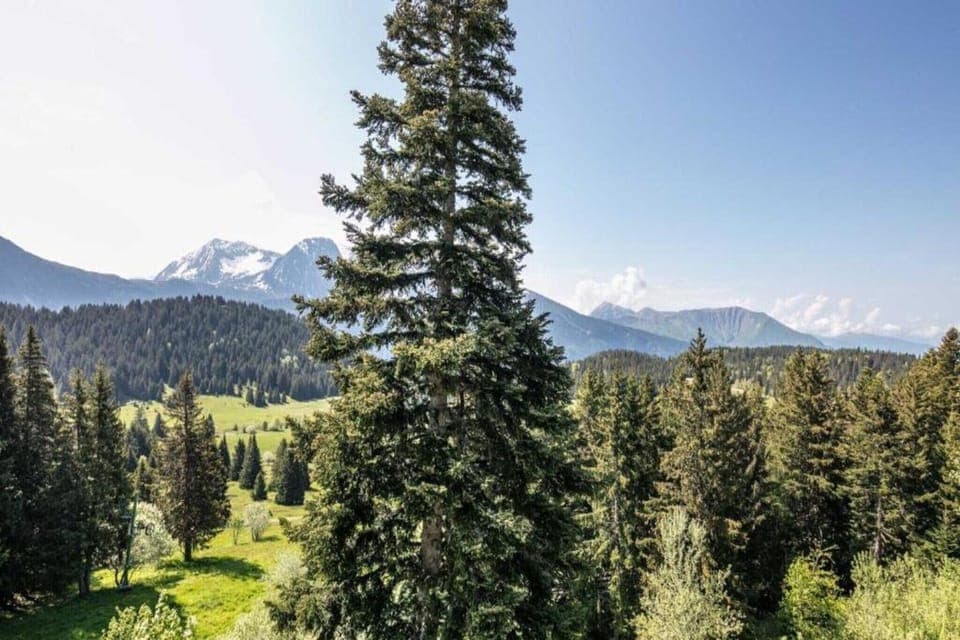 Surroundings [summer] (1-5 km)